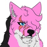 AmyWolf333 - @amywolf333 - Instagram