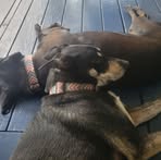 Amy M Wolfe - Facebook