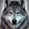 Amy wolfe - @amywolfe046 - TikTok