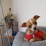 Amy Wolfe-Agnew - @wolfeagnew - Instagram