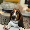 amyandvirgil - @amywolfe0 - TikTok
