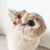 AmyWoolf3 - @amywoolf3 - TikTok