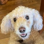 Amy Worth - Facebook
