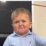 Amy Wynne-Jones - @amy_wynnejoness - Instagram