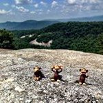 Amy Wysong - @wyso73 - Instagram