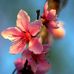 Amy Xue - Facebook