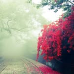 amy xue - @amyxue32 - Instagram