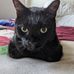 Amy Yagami - Facebook