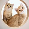 Amy ._. Yago - @amy._.yago - TikTok
