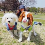 Amy Miwa Yamazaki - @mamita.chang - Instagram