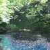 Ami Yasuda - Facebook