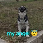 Maria Amy Ybarra - @amy.ybarra3 - Instagram