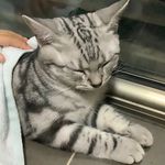 Amy Ye - @amy_yry - Instagram