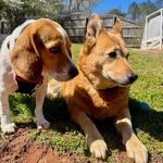 Amy Howard Yetter - @amyhowardyetter - Instagram