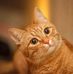 Amey Afeeq - Facebook