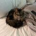 Amy Yohe Cowley - Facebook