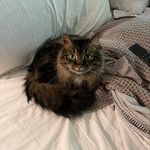Amy Yohe Cowley - @amy_cowley12 - Instagram
