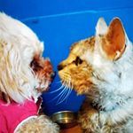 たか - @taka.amy.yoke - Instagram