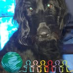 Amy Younce - Facebook