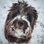 Amy Youngquist - @fluffaduffhershey - Instagram