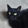 amyyoungquist68 - @amyyoungquist68 - TikTok