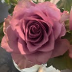 Amy Youngs - Facebook