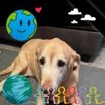 Amy Yount - Facebook