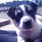 taken by blayne - @amyyount - Instagram