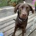 Aimee Yowell - Facebook