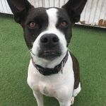 Amy Yowell - @amyyowell - Instagram