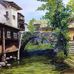 Amy Yue - Facebook