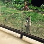 Amy Yuksel - @yukselamy - Instagram