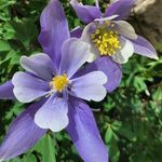 Amy Yurchak - @yurchakamy - Instagram