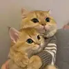 Amy Sablan - @amy.sablan6 - TikTok
