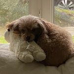 Amy Zahn-Stern - @zahn2stern - Instagram