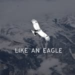 如鷹 LIKE AN EAGLE - @like.aneagle - Instagram
