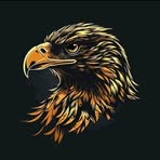 An Eagle - Facebook