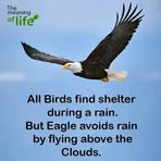 An Eagle Mindset - Facebook