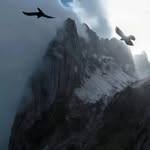 @an_eagle_without_a_sword - Instagram
