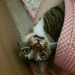 라병진 - @aneagle44 - Instagram