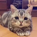 An Phan - @pbt.an - Instagram