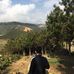 An Vuong - Facebook