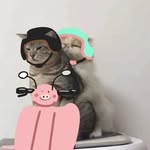 An Vuong - @anvuong1403 - Instagram