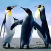 Anita - @anaaizcorbe - TikTok