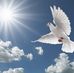 Ana Ann - Facebook