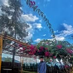 Anaan Singh - @_anaan_singh_ - Instagram