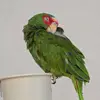 anaaragon6583 - @anaaragon6583 - TikTok