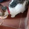 ana bencomo - @ana.bencomo49 - TikTok