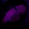 allana_byrd - @allanabyrd6 - TikTok