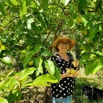 Ana Maria Gutierrez Castelli - @anamariagcastelli - Instagram
